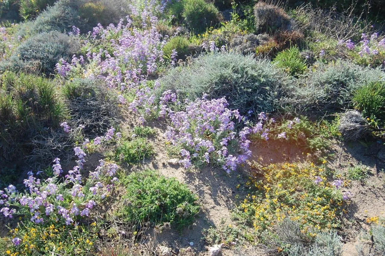 Isola Rossa Appartamenti Superior איזולה רוסה